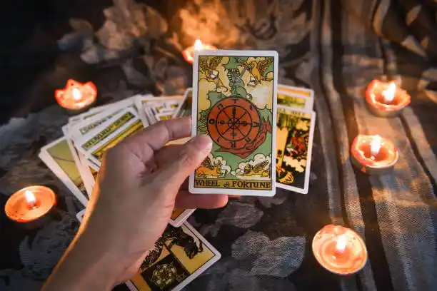 tarot cards Ackerman